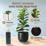 Kindred's formulation grows healthy house plants