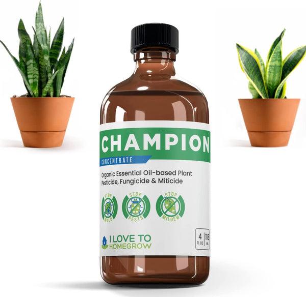 Champion Concentrate Organic Essential Oil-based Pesticide