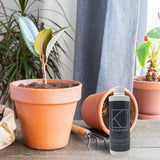 Potted plant and Kindred tea tree oil