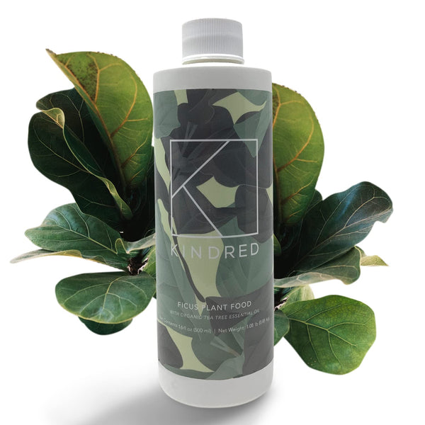 Kindred tea tree oil packaging