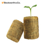 beckworth rockwool round seed starter plug