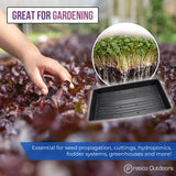 seed starter tray no holes great for gardening
