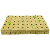 50-cube 1 inch rockwool grow seed starter plugs